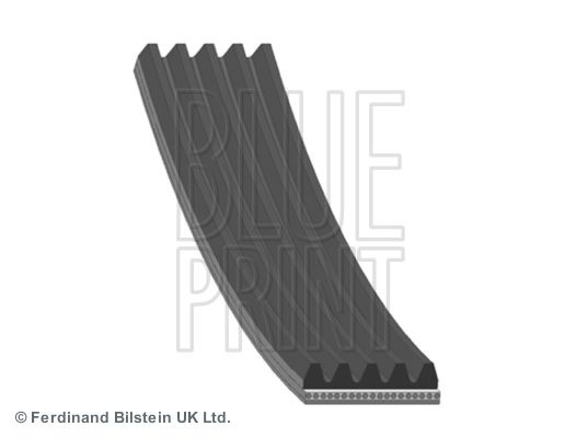 BLUE PRINT Moniurahihna AD05R1135